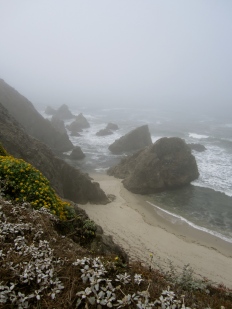 Misty morning, Bodega Head, California