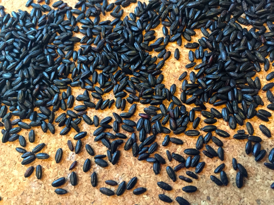 Beautiful Forbidden Black Rice was only for the emperors in ancient China!