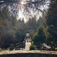 Oregon's Nature Nooks: Crystal Springs Rhododendron Garden